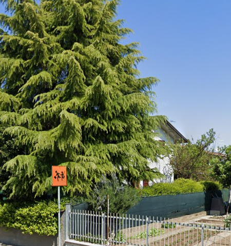 immagine annuncio 9 di 13