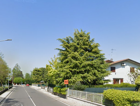 immagine annuncio 12 di 13