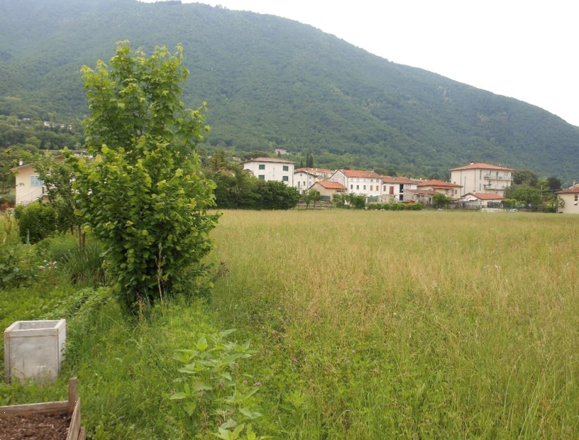immagine annuncio 6 di 13