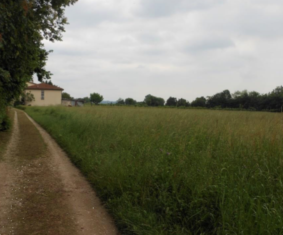 immagine annuncio 12 di 13