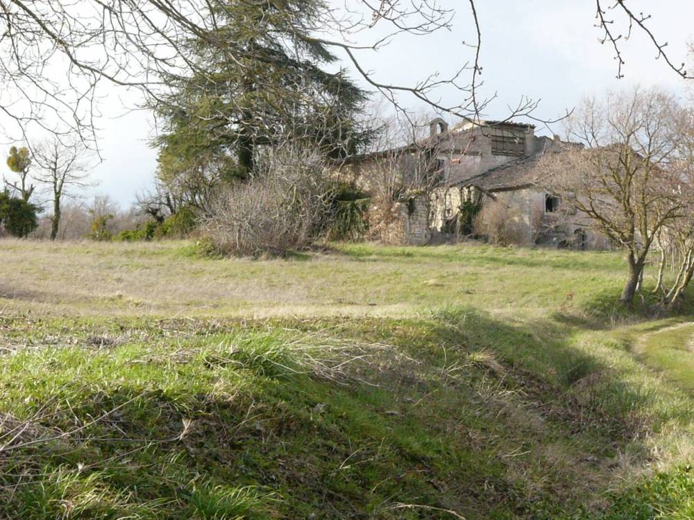 immagine annuncio 7 di 13