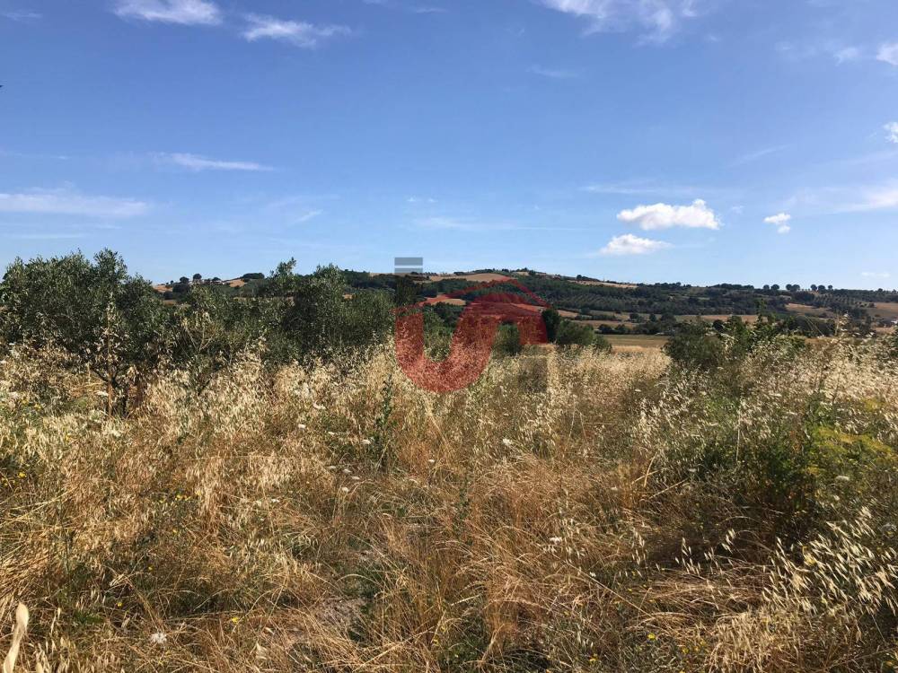 immagine annuncio 6 di 13