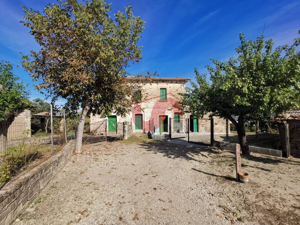 immagine annuncio 9 di 13
