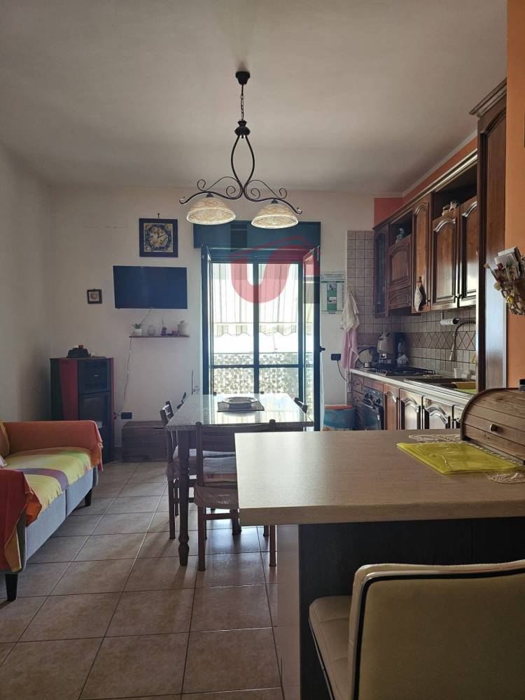 immagine annuncio 9 di 13
