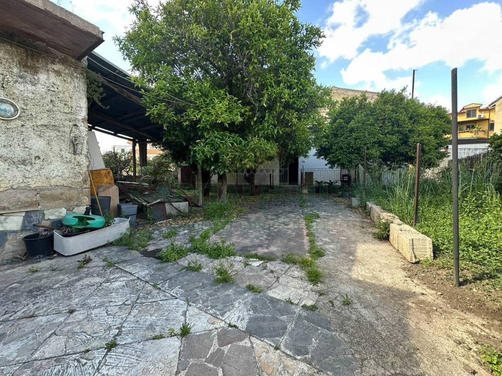 immagine annuncio 4 di 13
