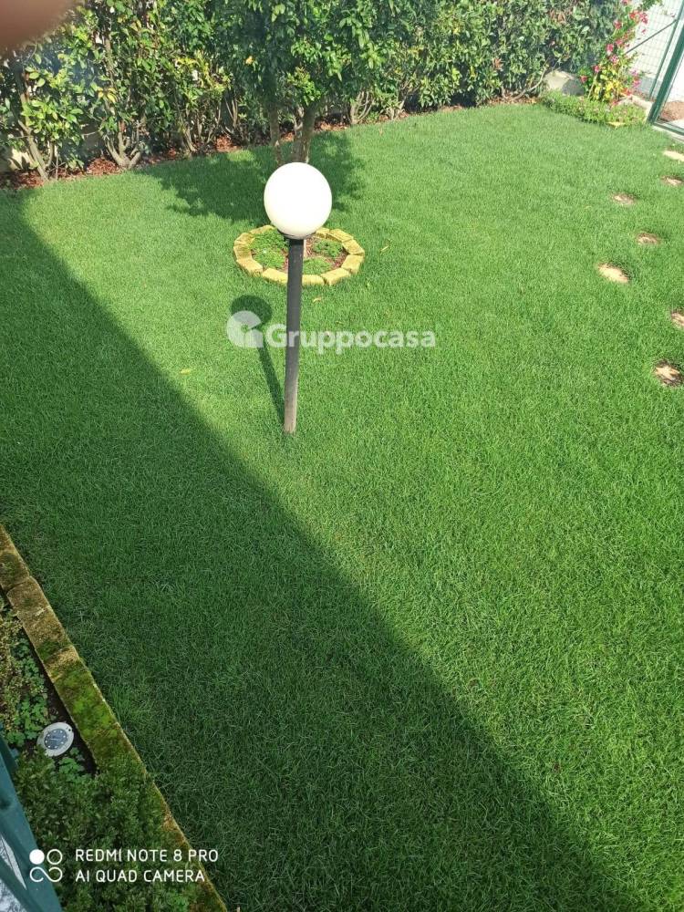 immagine annuncio 6 di 13