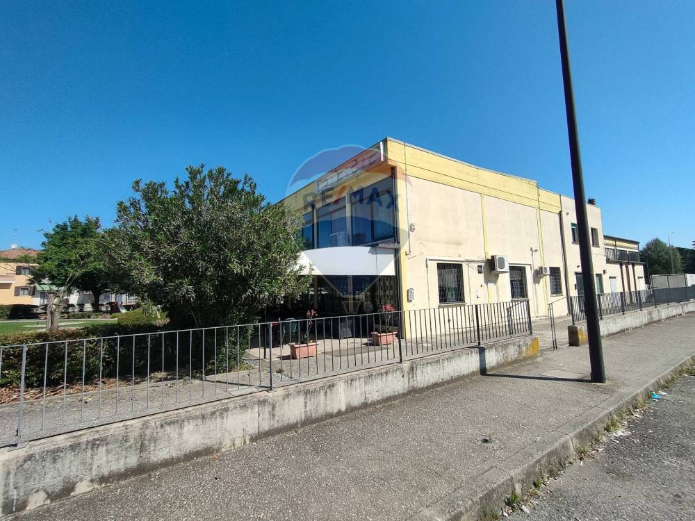 immagine annuncio 11 di 13