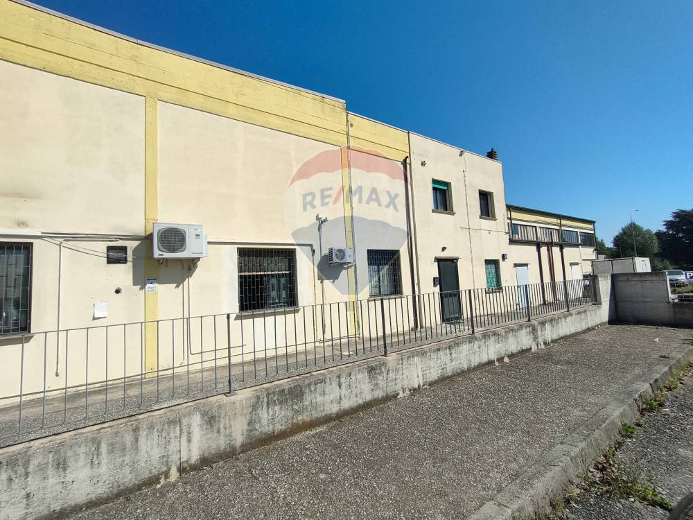 immagine annuncio 12 di 13