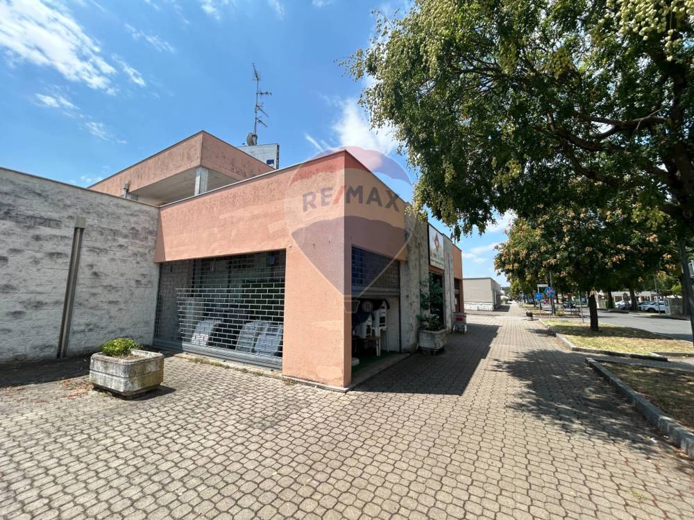 immagine annuncio 1 di 4