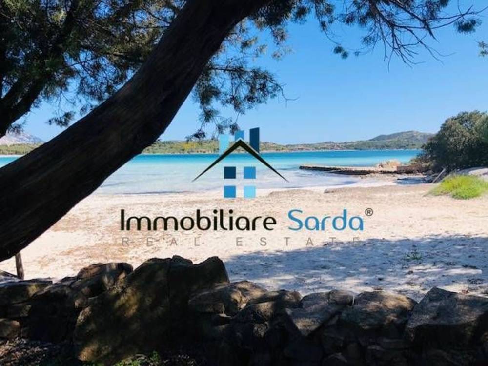 immagine annuncio 10 di 13