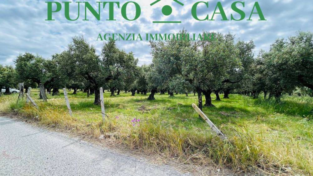 immagine annuncio 8 di 13