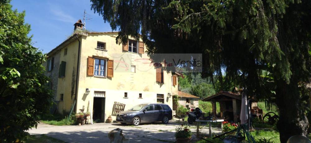 immagine annuncio 3 di 13