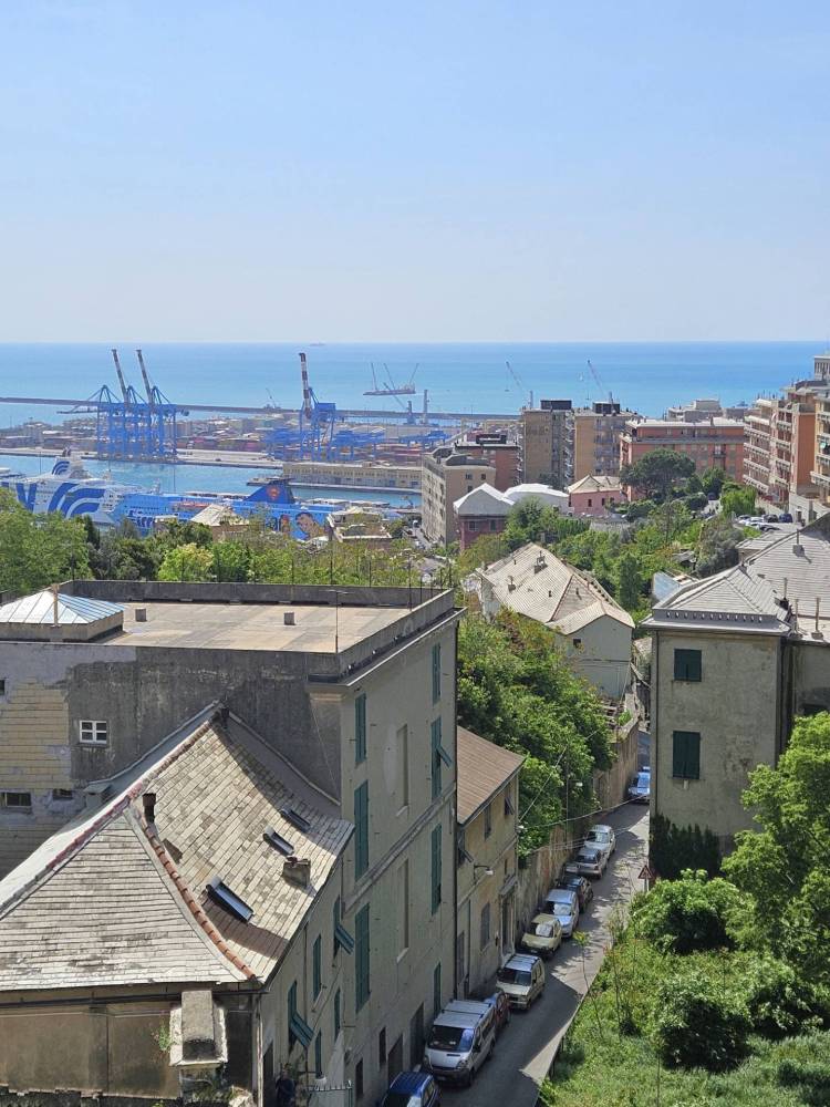 immagine annuncio 4 di 13