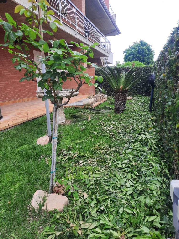immagine annuncio 11 di 13