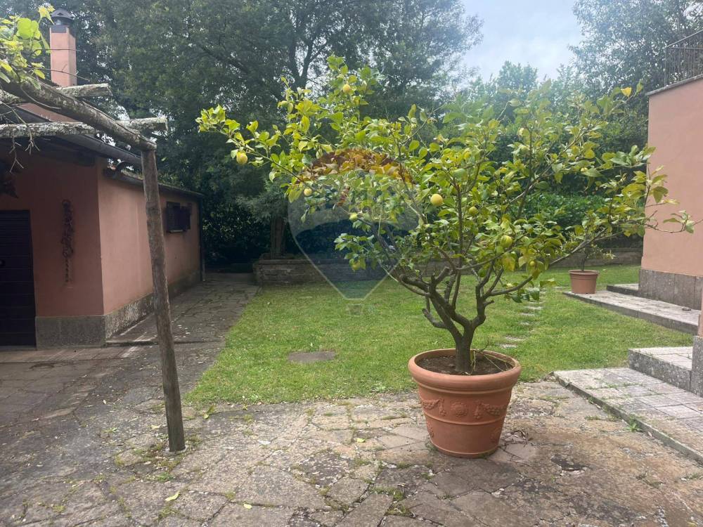 immagine annuncio 6 di 13