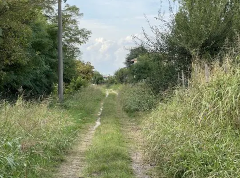 immagine annuncio 7 di 13