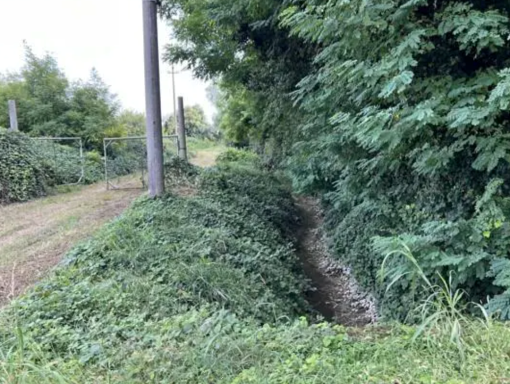 immagine annuncio 8 di 13