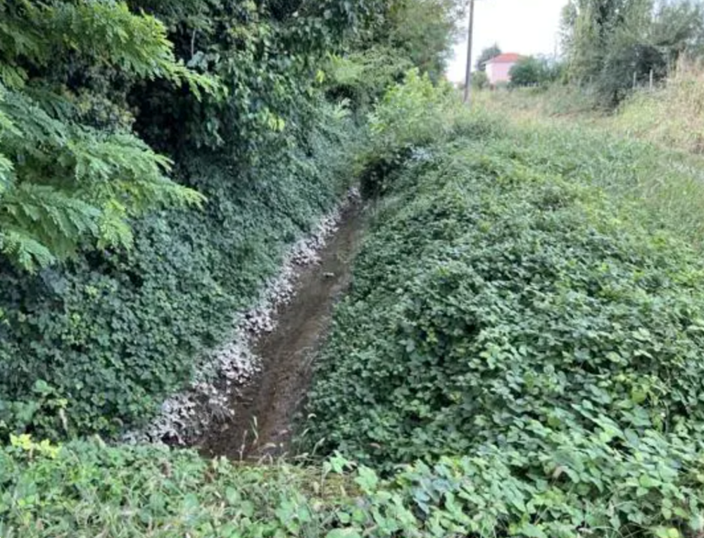immagine annuncio 9 di 13