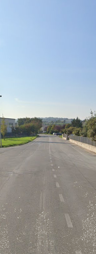 immagine annuncio 12 di 13