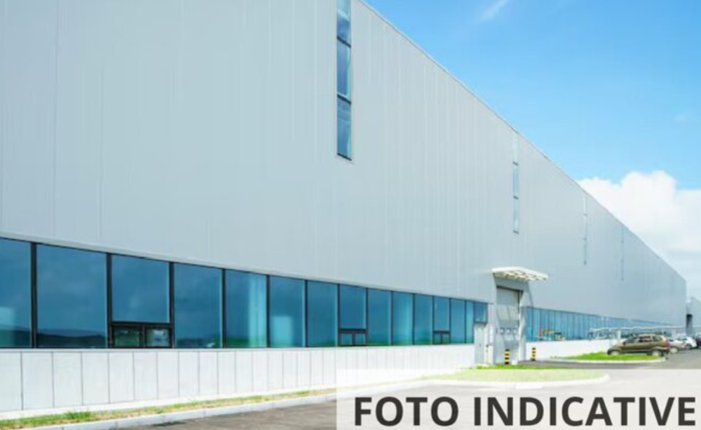 immagine annuncio 2 di 13