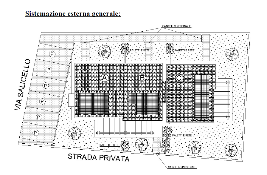 immagine annuncio 1 di 2