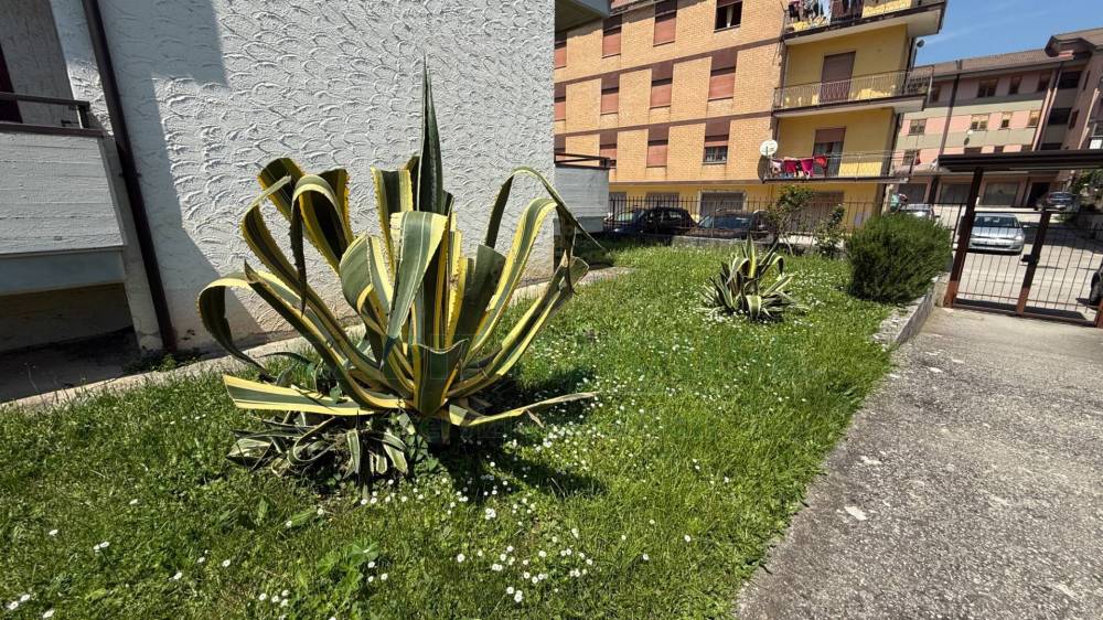 immagine annuncio 1 di 13