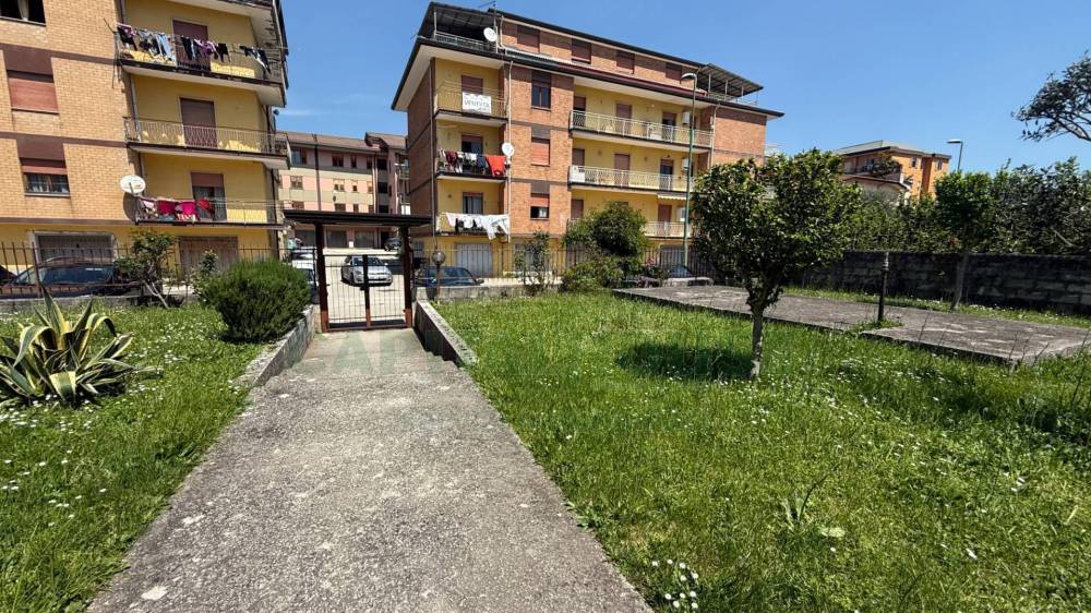 immagine annuncio 2 di 13