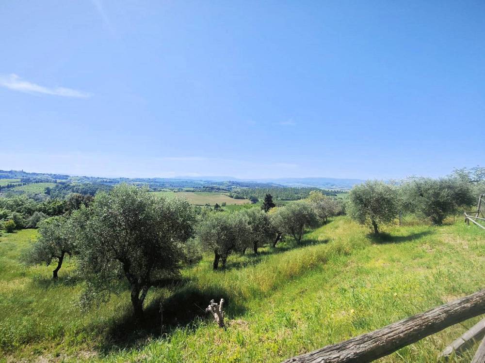 immagine annuncio 9 di 13