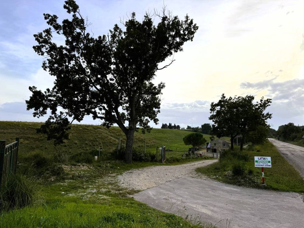 immagine annuncio 5 di 9