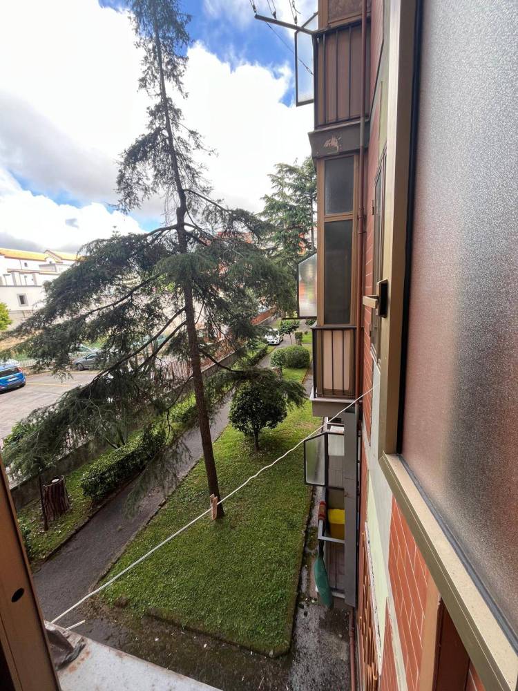 immagine annuncio 11 di 13