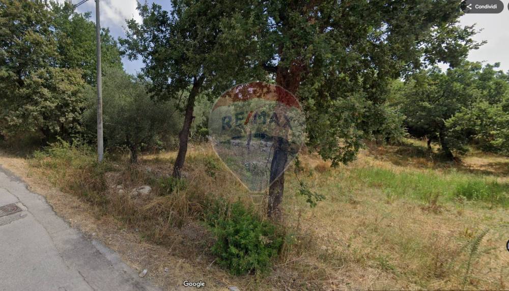 immagine annuncio 4 di 8