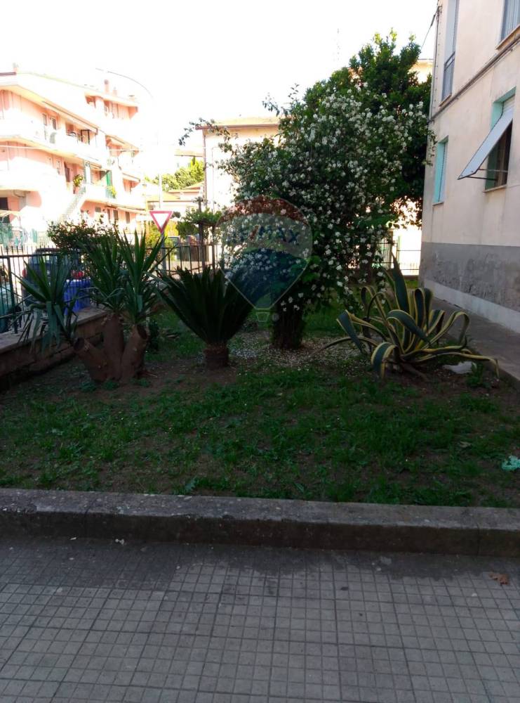immagine annuncio 4 di 6