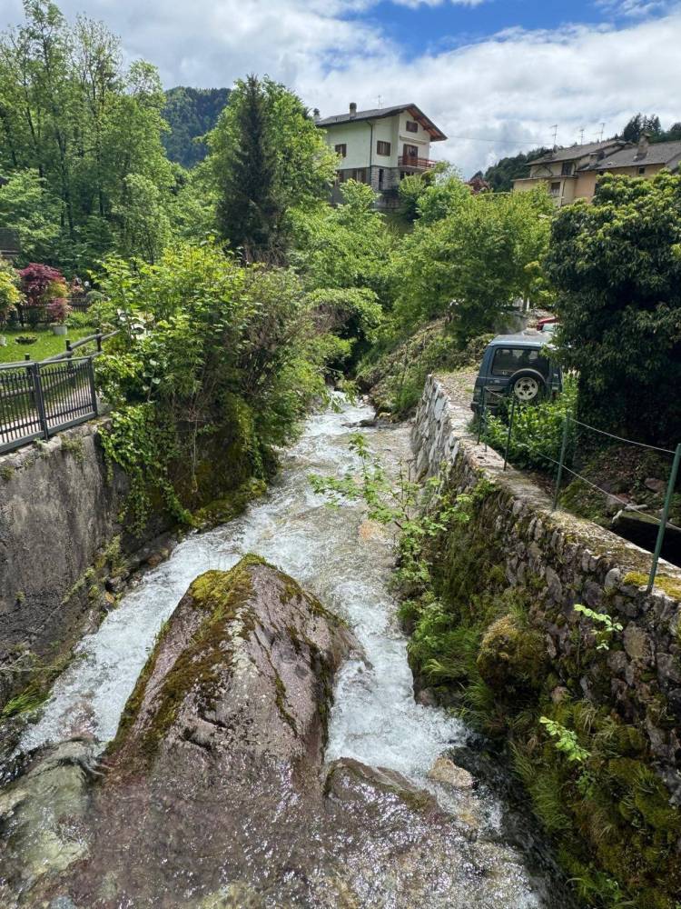 immagine annuncio 12 di 13