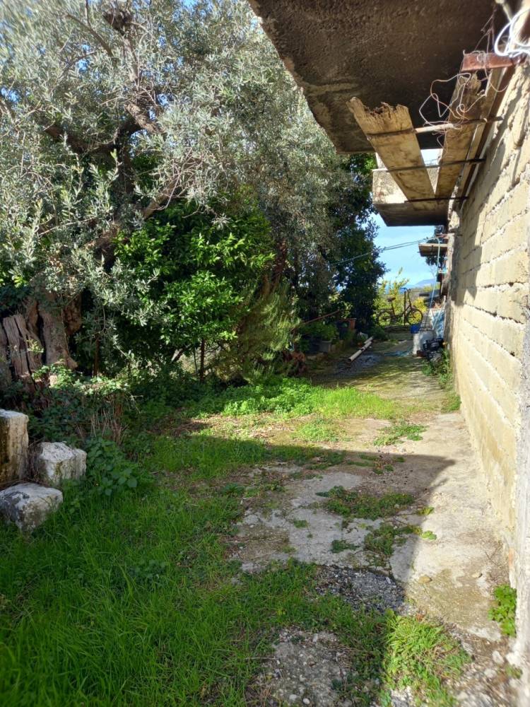 immagine annuncio 3 di 13