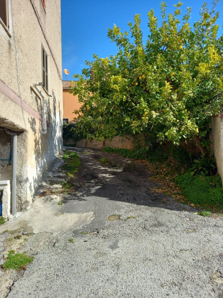 immagine annuncio 4 di 13