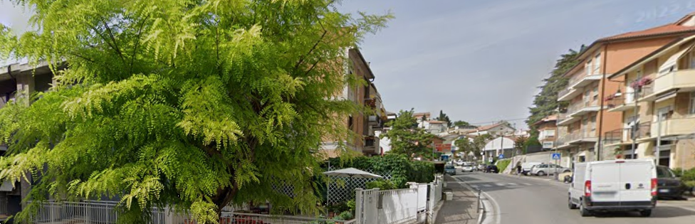 immagine annuncio 6 di 13