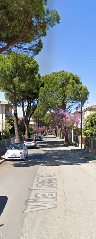 immagine annuncio 9 di 13