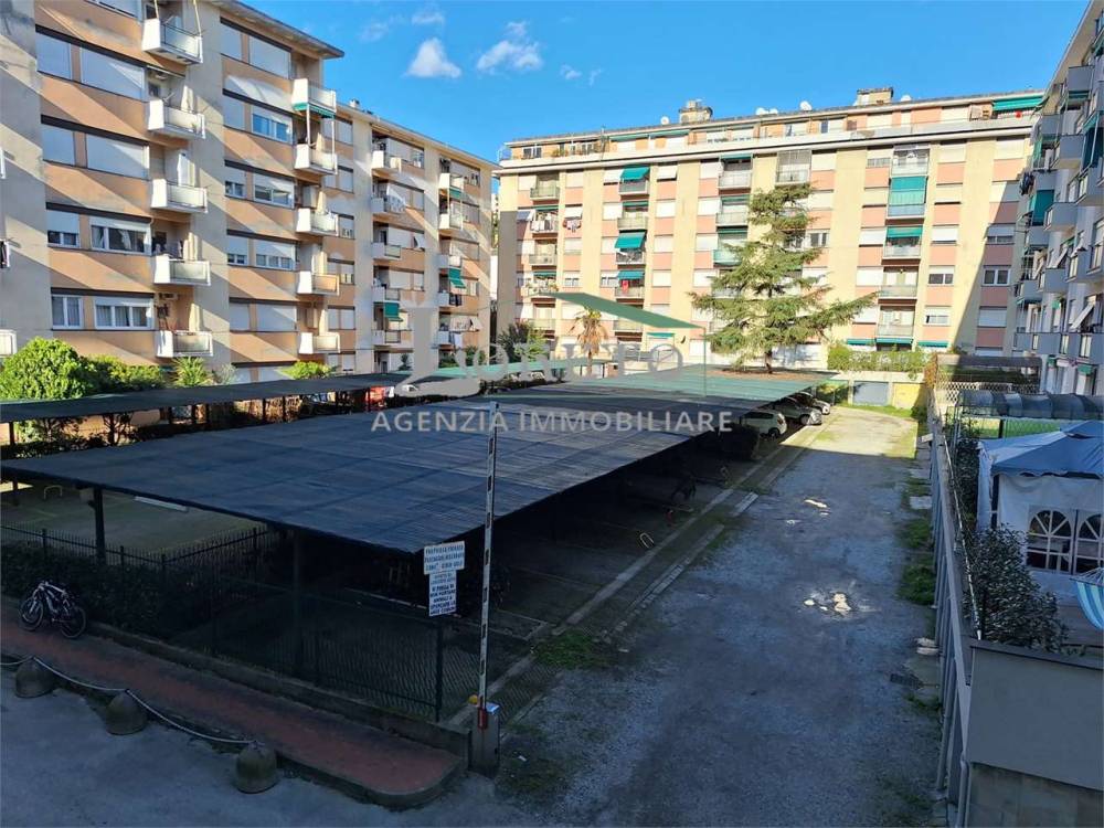 immagine annuncio 2 di 13