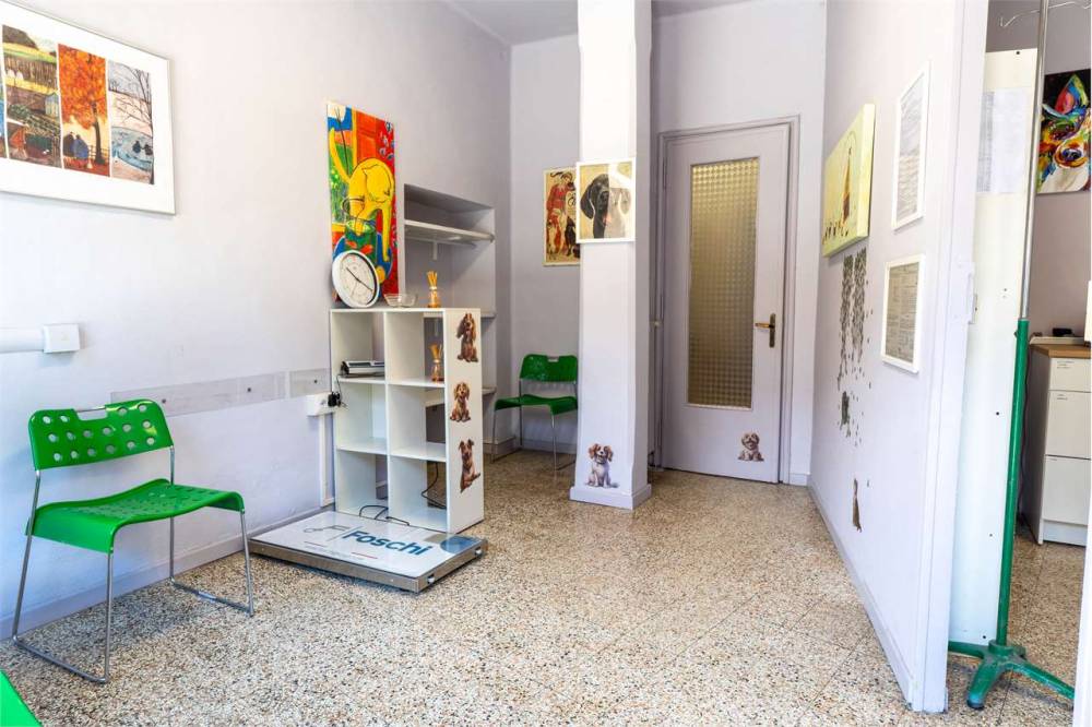 immagine annuncio 3 di 13