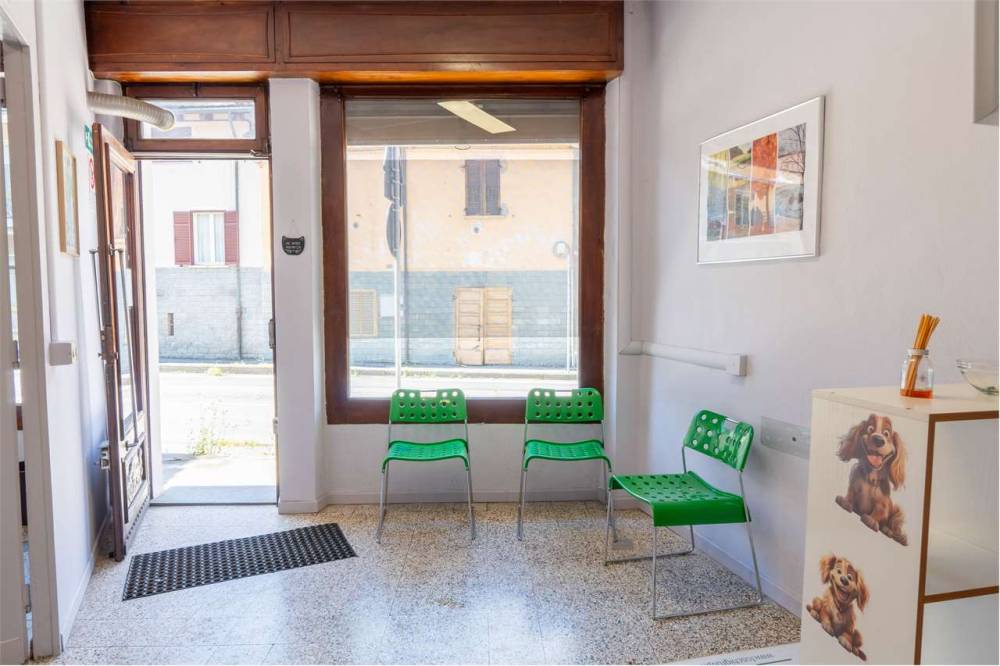 immagine annuncio 4 di 13