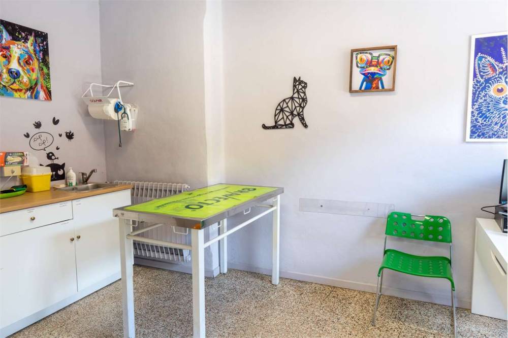 immagine annuncio 11 di 13