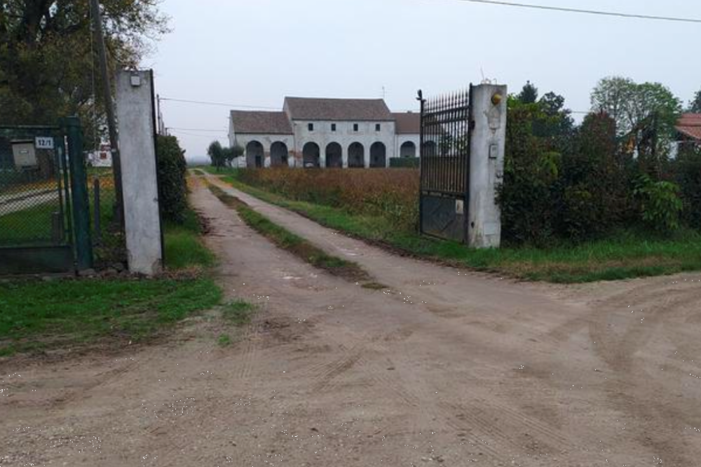 immagine annuncio 1 di 13