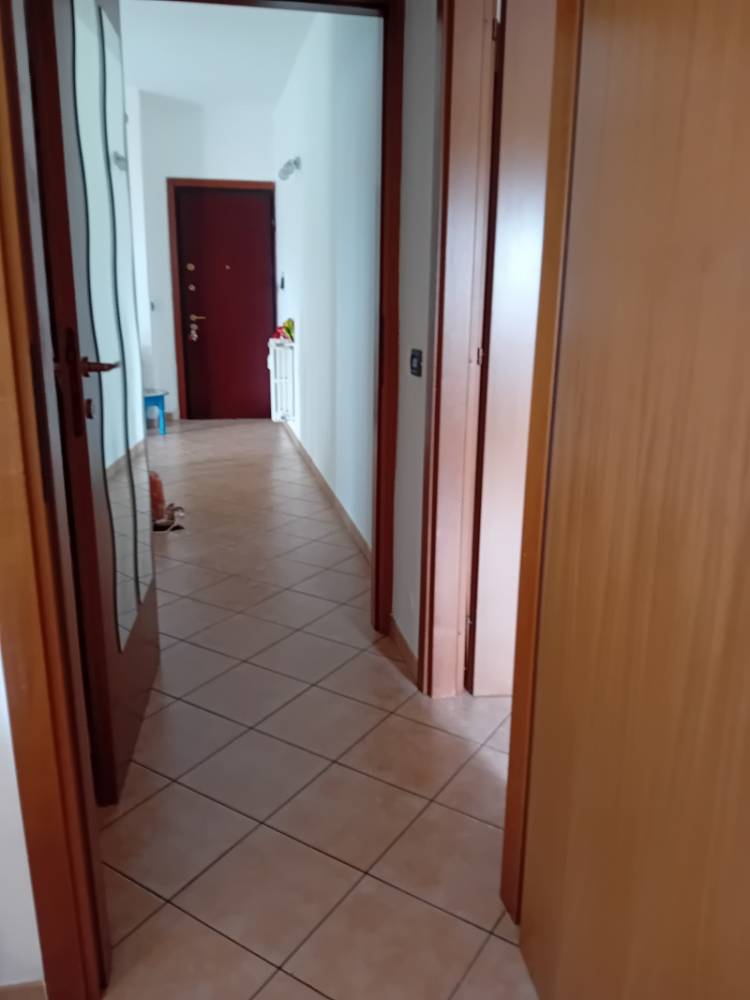 immagine annuncio 4 di 13