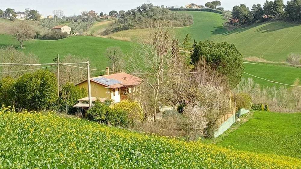 immagine annuncio 1 di 13