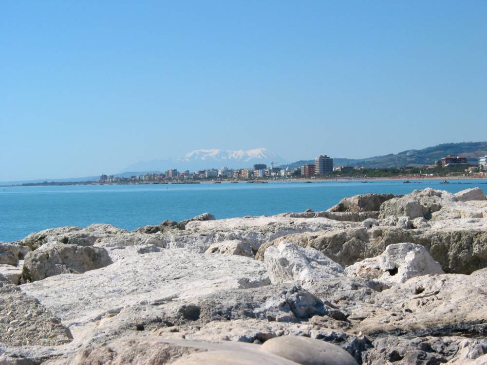immagine annuncio 7 di 8
