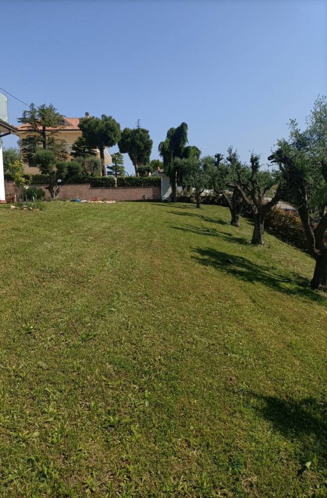 immagine annuncio 1 di 13