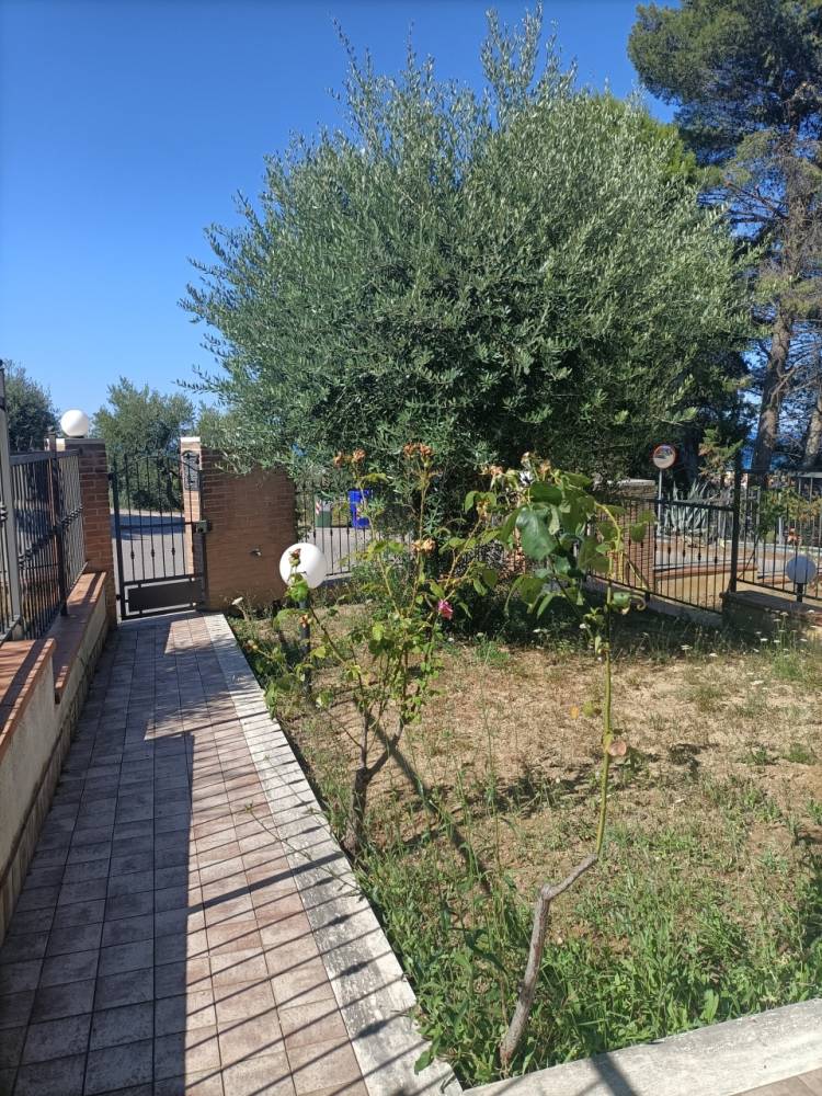 immagine annuncio 2 di 13