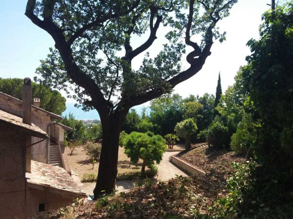 immagine annuncio 9 di 13