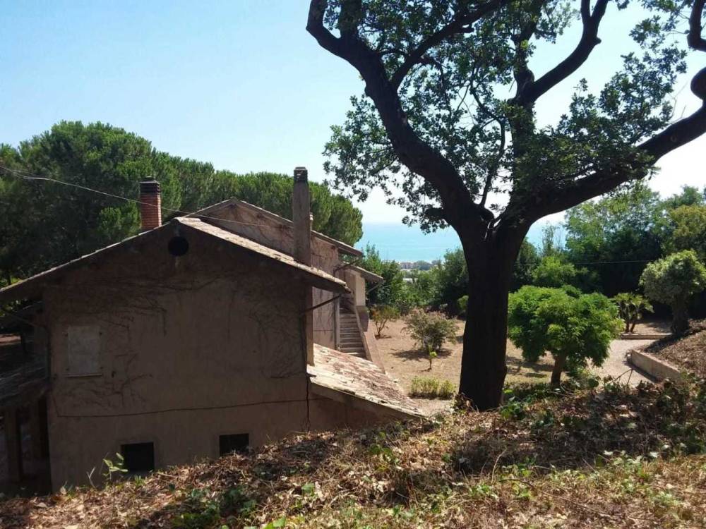 immagine annuncio 10 di 13