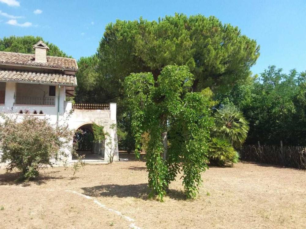 immagine annuncio 11 di 13